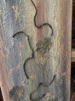 Πίνακας σε Καμβά 30x70cm - Image 3