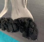 Καμβάς 30Χ30 ΓΥΝΑΙΚΑ ΜΕ ΚΑΠΕΛΟ - Image 2